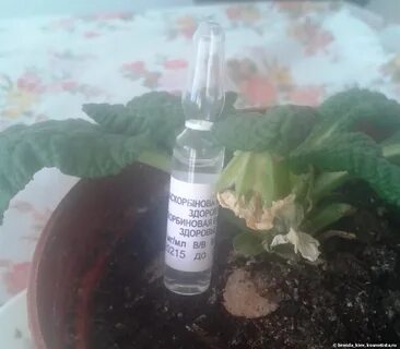 Аскорбиновая кислота и экстракт алоэ