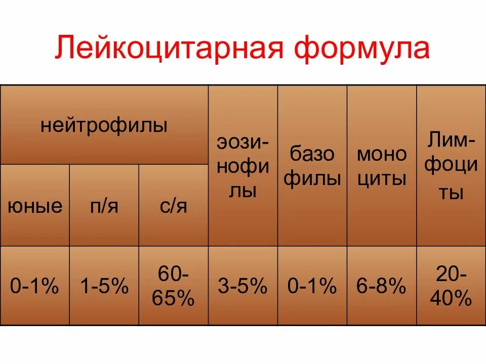 В лейкоцитарной формуле наибольший процент составляют