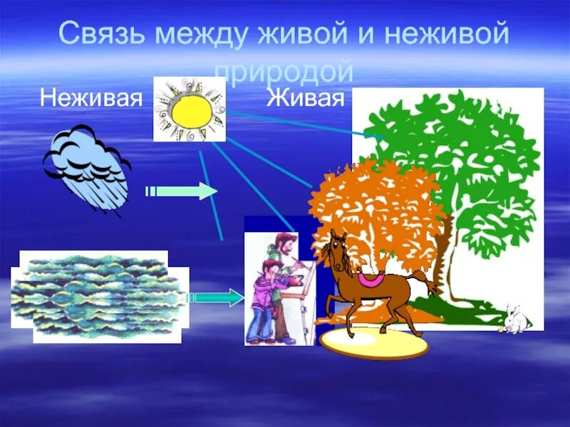 Взаимосвязь живой и неживой природы. Связь между живой и неживой природой. Связь живого и неживого. Азаимосвчщь недиврй и диврй природой. Природные связи между объектами