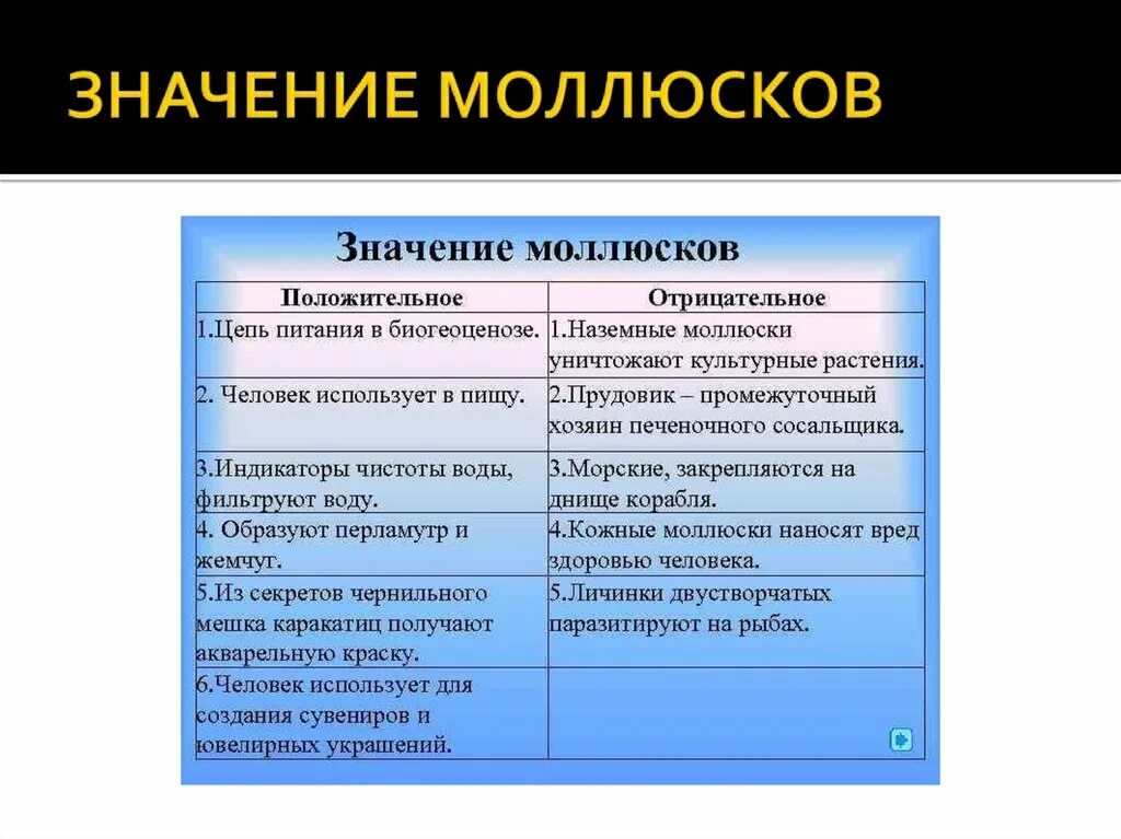 Значение моллюсков в жизни человека таблица природе Презентация Тип моллюски. " Улитка ,улитка высунь рога, дам тебе хлеба, кусок