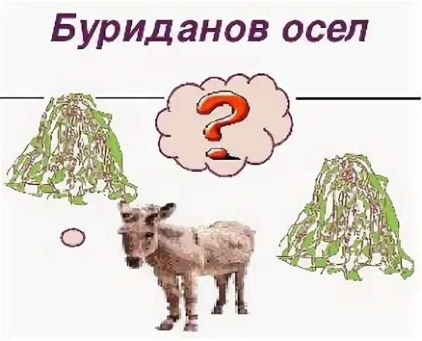 Буриданов осел происхождение фразеологизма. Буриданов осел. буриданов осел значение. фразеологизм буриданов осел. буриданов осел смысл.