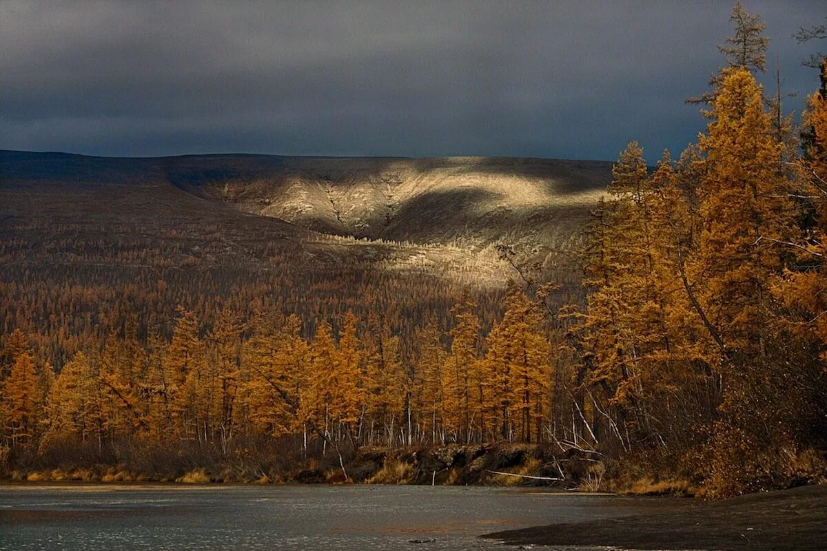 Сибирское плато Путорана. Плато Путорана природа. Среднесибирское плоскогорье (плато Путорана),. Плато Путорана — Сибирский Затерянный мир. Среднесибирская город