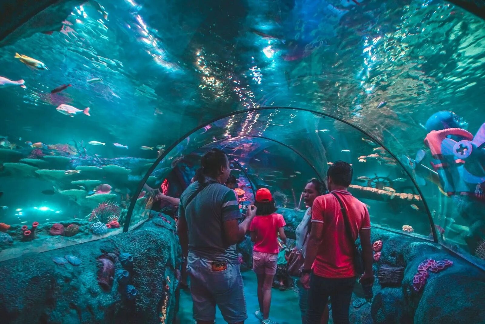 Отзыв sea life. Сиднейский океанариум. Хельсинки аквариум Sealife. Сиднейский аквариум морская жизнь. Океанариум Малайзия.