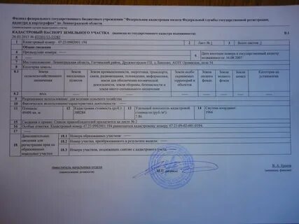 Кто делает документы