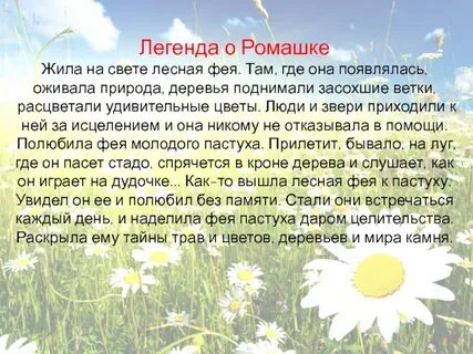Ромашка 2 класс