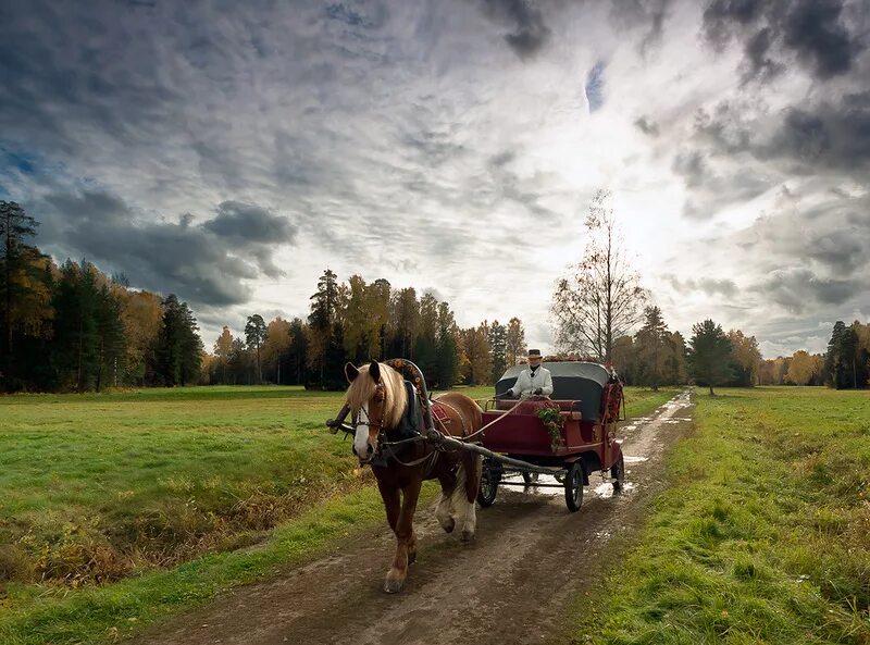 По дороге лошадка. Телега с лошадью. Лошадь с телегой в деревне. Конь с повозкой. Сельская дорога.