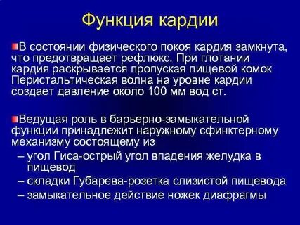 Кардии 1