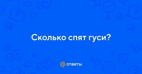 Прилетев на место гуси шумно