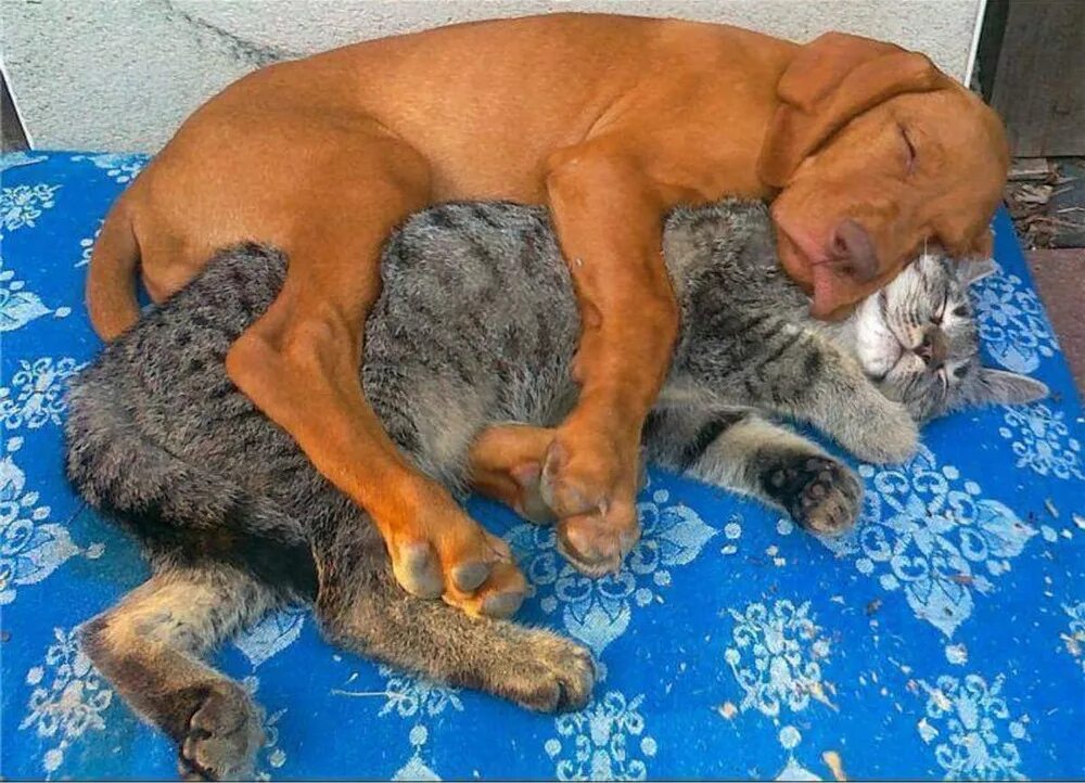 На работе не должно быть друзей