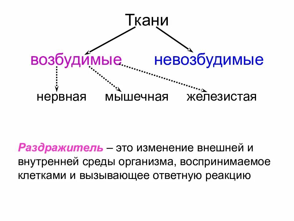 Возбудимые ткани физиология. Физиологические свойства возбудимых клеток. Типы возбудимых тканей. Основные понятия в физиологии возбудимых тканей. Возбудимость и сократимость обладает клетки