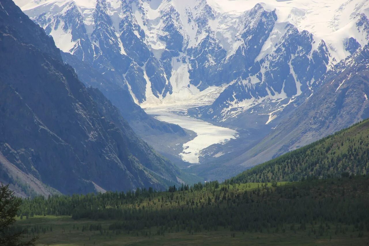 Республика Алтай. Северо-Чуйский хребет горный. Республика Алтай горы Алтай. Хребты горного Алтая.