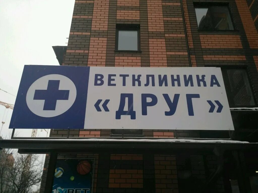 врач ветеринар. ветеринарная клиника баррикад 128. ветклиника на переулке старичков калуга. ветлечебница калужская. биовет ветеринарная клиника воронцовские пруды.