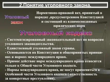 Правовое заключение по уголовному