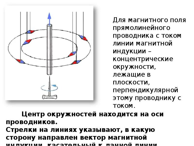 Вектор магнитной индукции и магнитные линии. Линии магнитной индукции и линии магнитного поля это. Вектор магнитной индукции 9 класс. Магнитная индукция 11 класс физика. Определите направление магнитного поля проводника с током