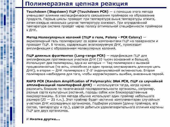 Этапы. Амплификация днк пцр. Схема двух циклов пцр микробиология. Схема пцр рнк. Амплификация пцр.