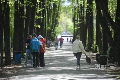 Выбираем парку
