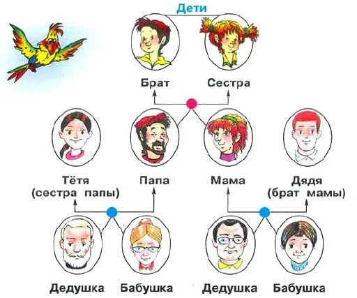 Названия родственников. Схема семьи для детей. Родословная я брат сестра мама папа бабушка дедушка. Мама папа бабушка тетя брат