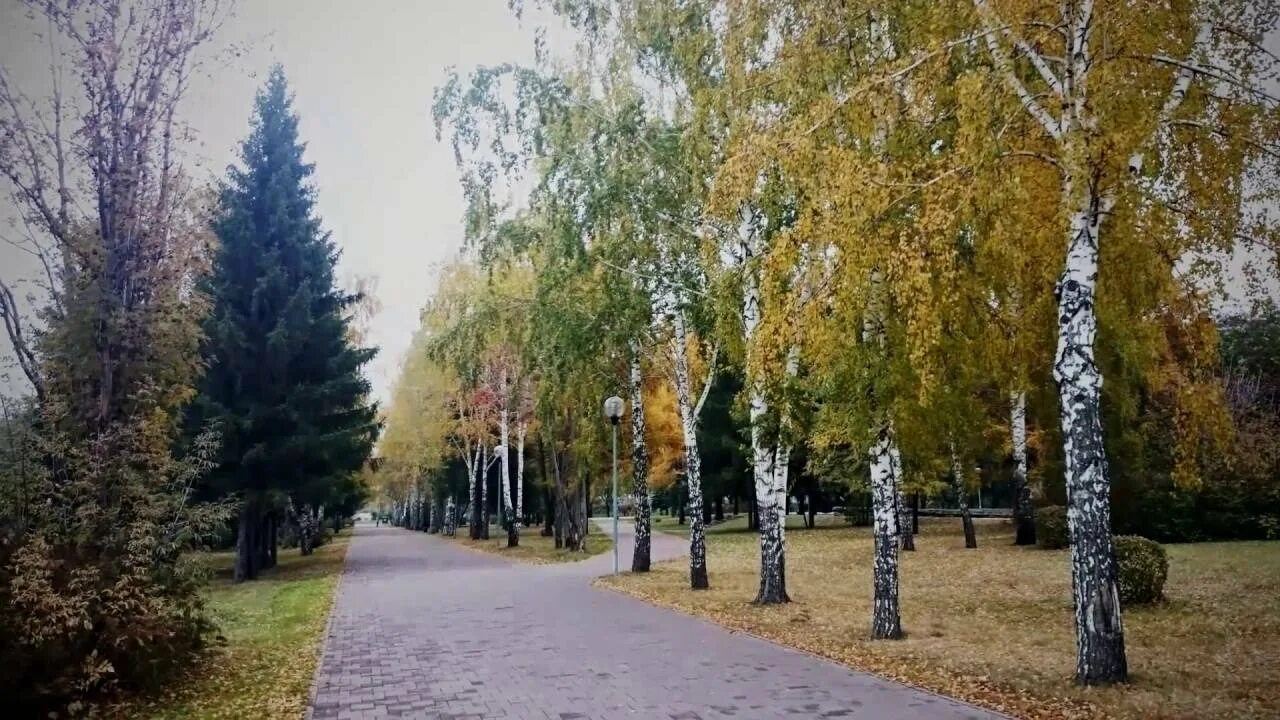 Осенний кемерово