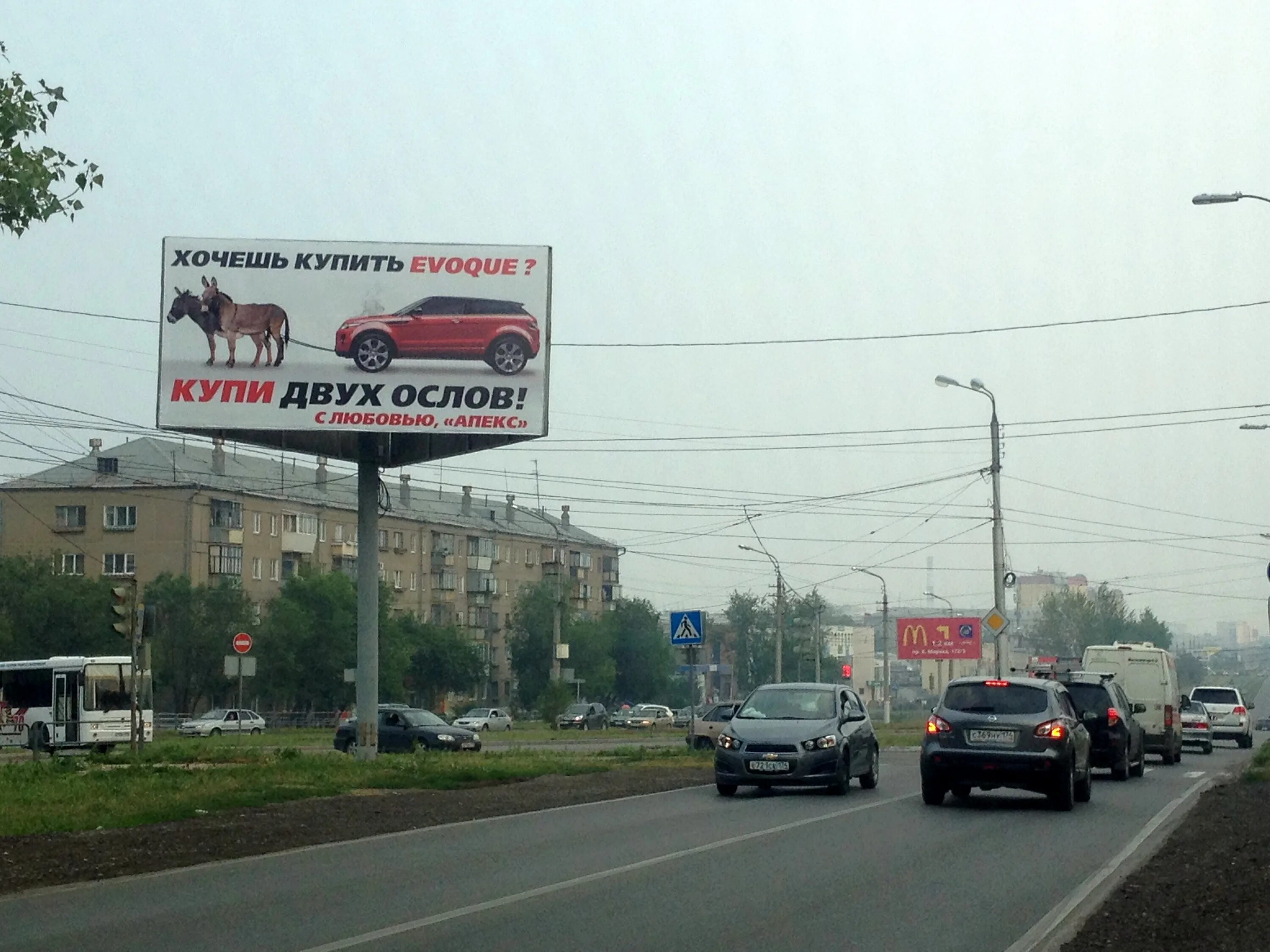 Магнитогорск реклама. Баннер магнитогорск. Баннер магнитогорск. Рекламные лица в магнитогорске. Продается кот квартира в подарок.
