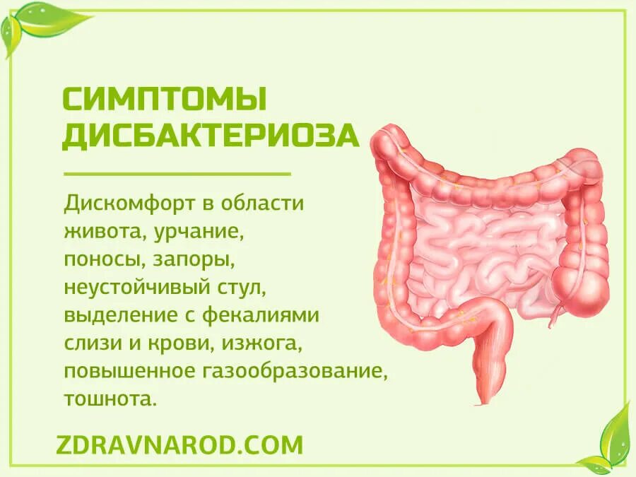 Дисбактериоз кишечника симптомы. Симптомы дисбиоза кишечника. Дисбактериоз толстый кишечник. Кишечный дисбактериоз проявления. Молочница желудка