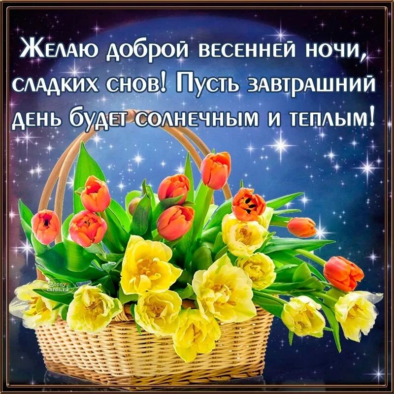 Доброго весеннего ночи