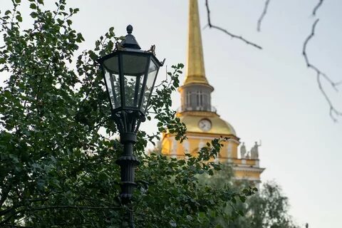 Петербург колыбель