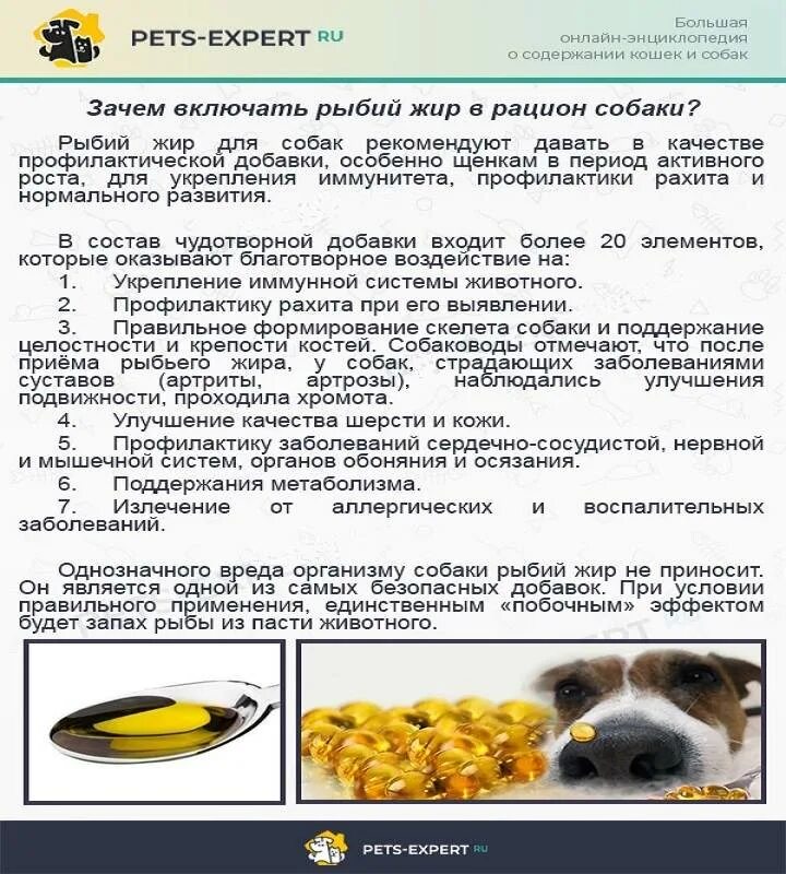 Какие крупы давать овчарке