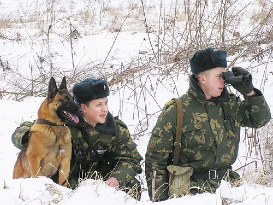 Служба дозор. Пограничники на заставе. Пограничник на границе. Пограничники зимой. Пограничник в дозоре.