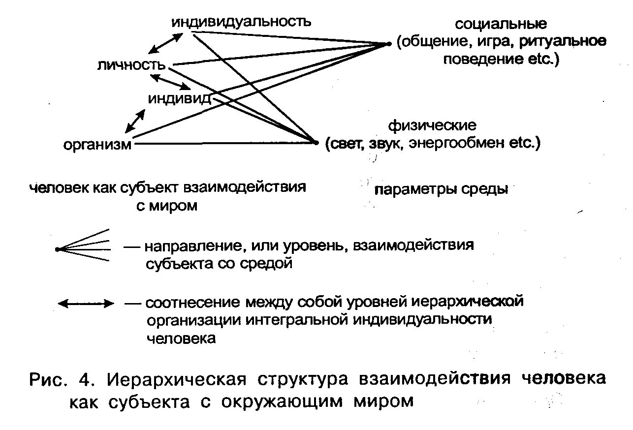 Иерархия взаимодействий. Концепция интегральной индивидуальности. Теория интегральной индивидуальности. Иерархическая структура общества. Индивид и личность аспекты взаимодействия.