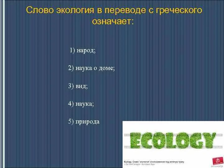 Наука греческий перевод. Экология перевод с греческого. Греческие слова экология. Экология в переводе с греческого означает. Как переводится экология с греческого.