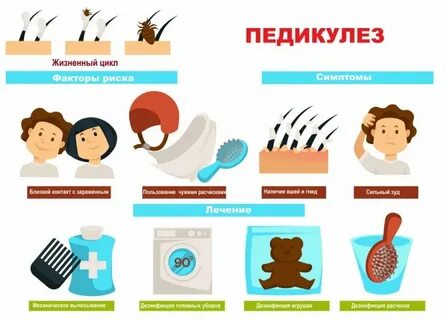 Головной педикулез обработка