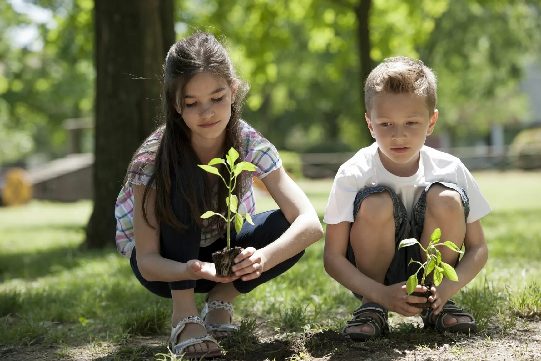 Дети и природа. Детям об экологии. Любовь к природе. Хорошее отношение к природе. Ребенку 6 лет о природе