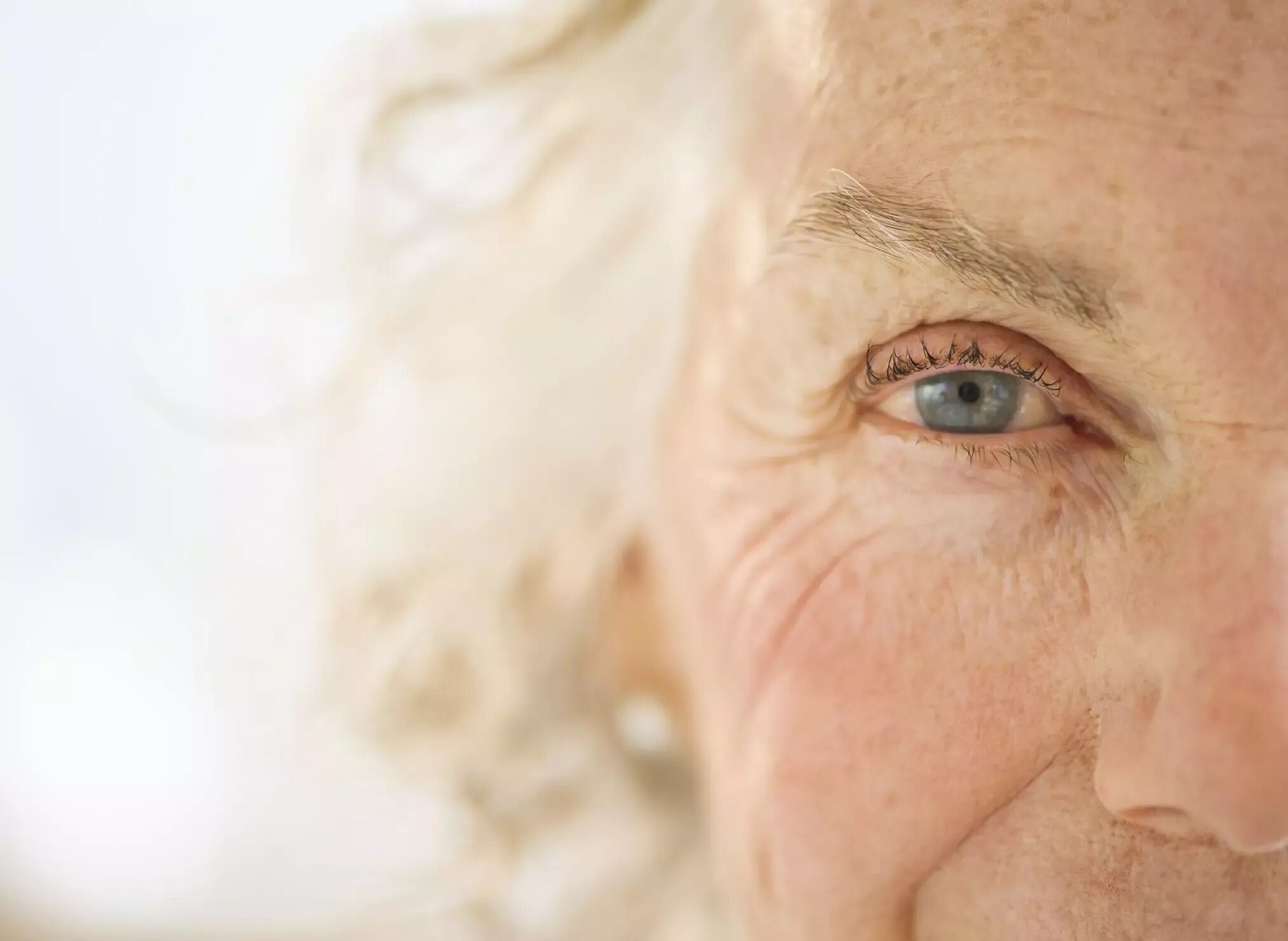 Врожденная ядерная катаракта. Ядерный склероз. Пигментный кератит у мопсов. Ядерный склероз. Ядерный склероз.