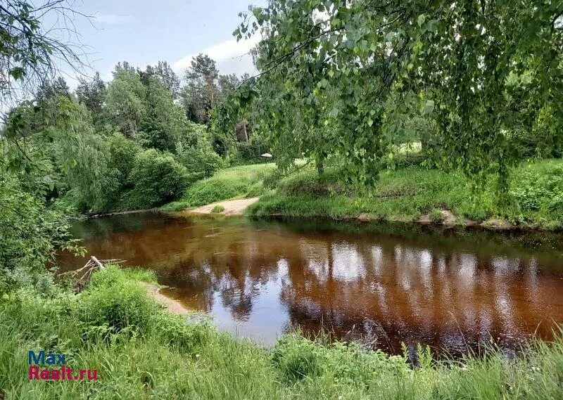 Река Торошинка Псков. Черняковицы река Псков. Черняковицы 2 Псков. Черняковицы речка. Псков купить м