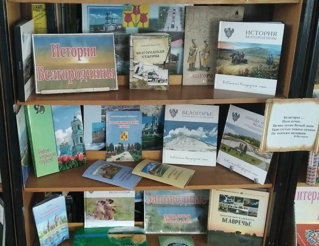 Мужской монастырь в белогорье воронежской области. Заповедник белогорье в белгородской области. Белогорье воронежская область монастырь. Истории белогорья. Книги о белгородчине.