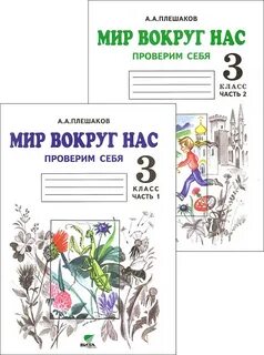 Мир вокруг рабочая тетрадь