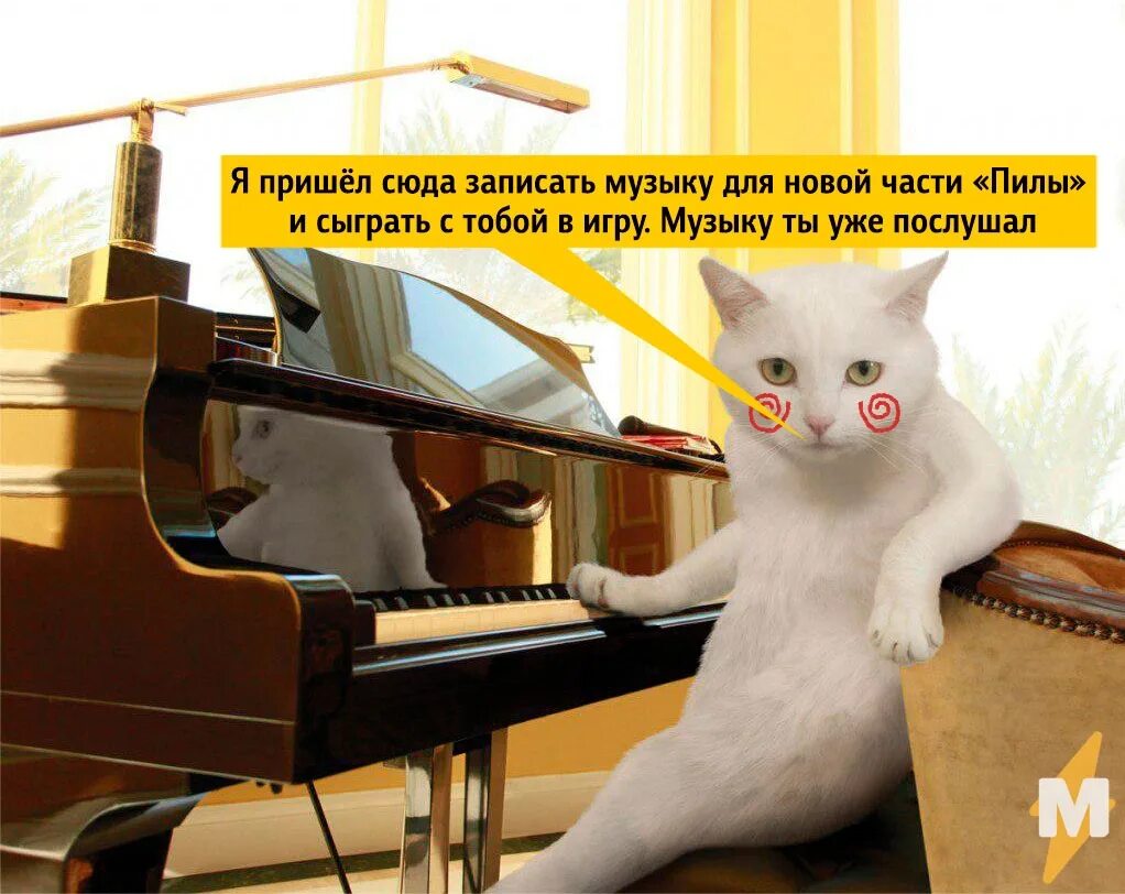 Веселые песни на выход. Кот играет на пианино. Мемы про фортепиано. Котик играющий на пианино умер?. Мемы про пианино.