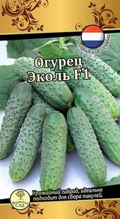 Огурцы эколь описание сорта фото