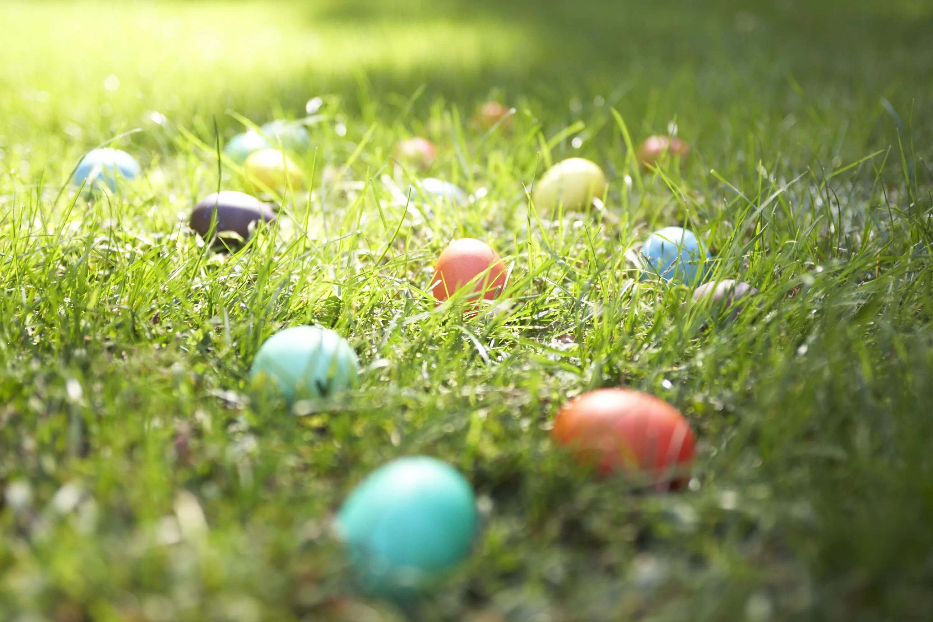 Easter 2025 eggs