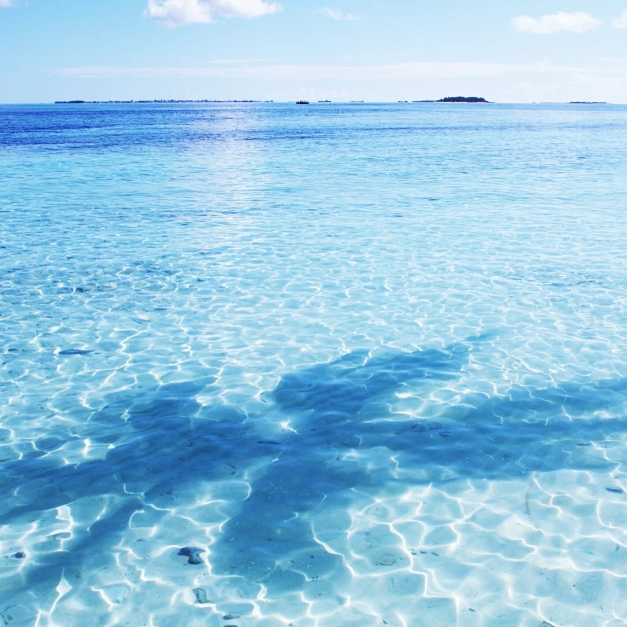Кристальное море. Прозрачное море. Прозрачная вода море. Голубое прозрачное море. Чистое голубое море.
