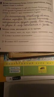 Спишите слова распределяя их по тематическим группам