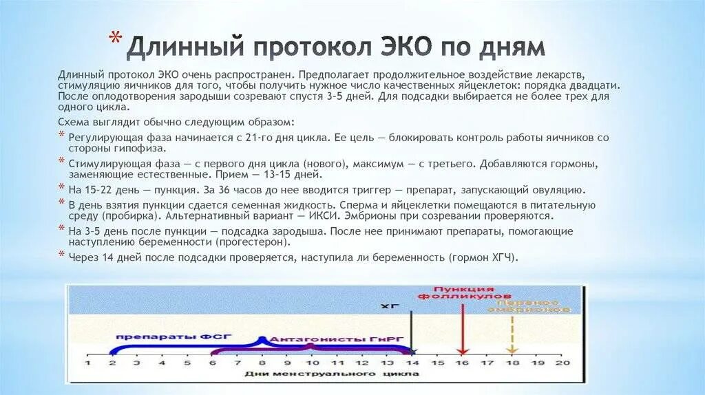 Стимуляция овуляции для зачатия естественным. Длинный протокол эко по дням схема с препаратами. Длинный протокол эко по дням цикла. Схема длинного протокола эко по дням. Стимуляция овуляции короткий протокол эко.