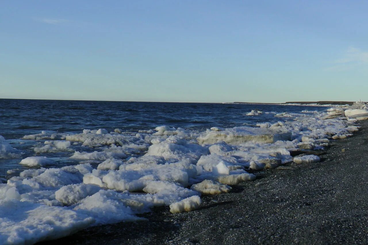 Бассейн океана моря лаптевых. Море Лаптевых. Море лптевы. Море Лаптевых шторм. Южный берег моря Лаптевых.