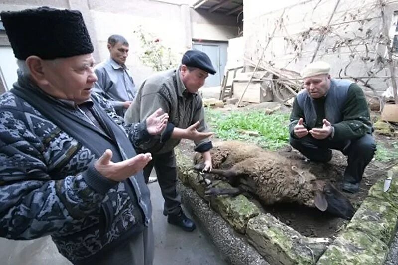 Курбан что делать. Курбан жертвоприношение. Курбан байрам жертвоприношение. Исламский «праздник жертвоприношения», Курбан-байрам.. Курбан байрам — праздник жертвоприношения.