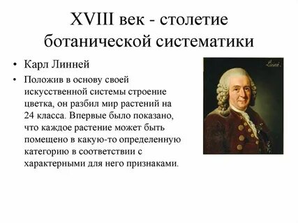 Благодаря этому методу были заложены основы систематики