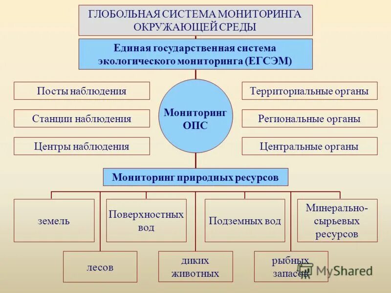 Министерство природных ресурсов и экологии структура