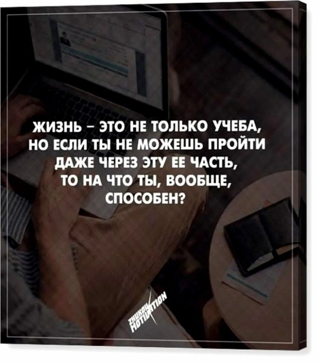 Их жизнь наша работа