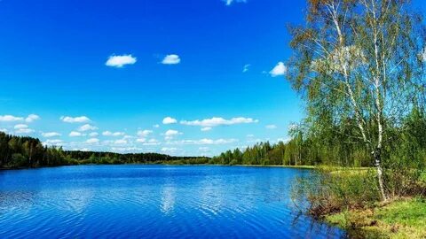 Лес река голубое небо
