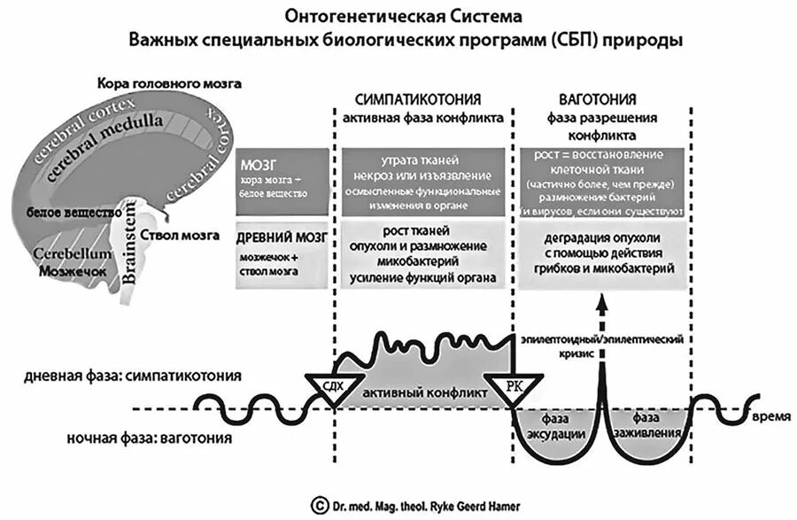 Симпатикотония. Эйтония ваготония симпатикотония. Ваготония и симпатикотония таблица. Симпатикотония причины. Ваготония симптомы