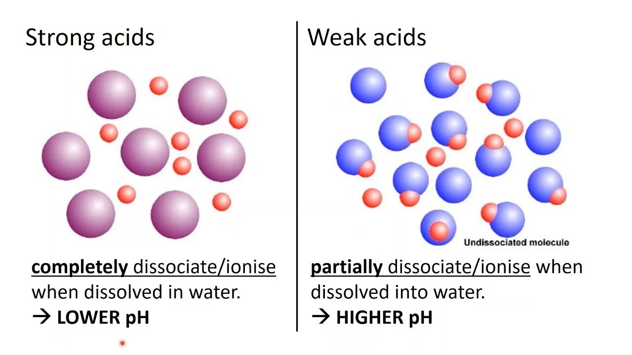 Weak key. Strong and weak acids. strong and weak bases. acids and bases. strong acid list.